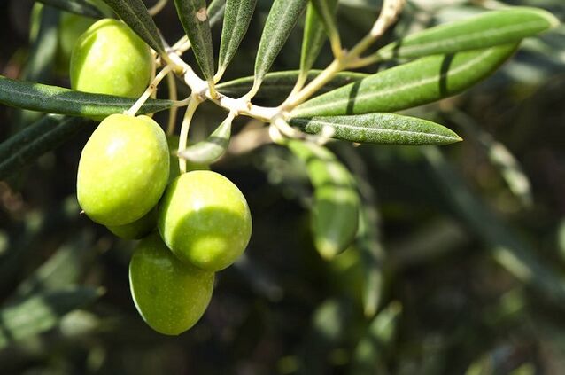 benefícios de comer azeitonas em uma dieta cetogênica